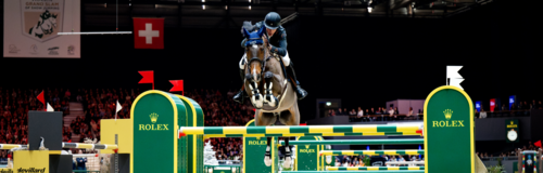 Cavaliers et meneurs