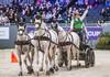 Pre-qualification for the FEI Driving World CupTM