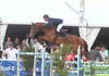 De poulain à cheval de Grand Prix, la route est longue (4)