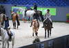Horses and riders for the 59th edition of the CHI Geneva !