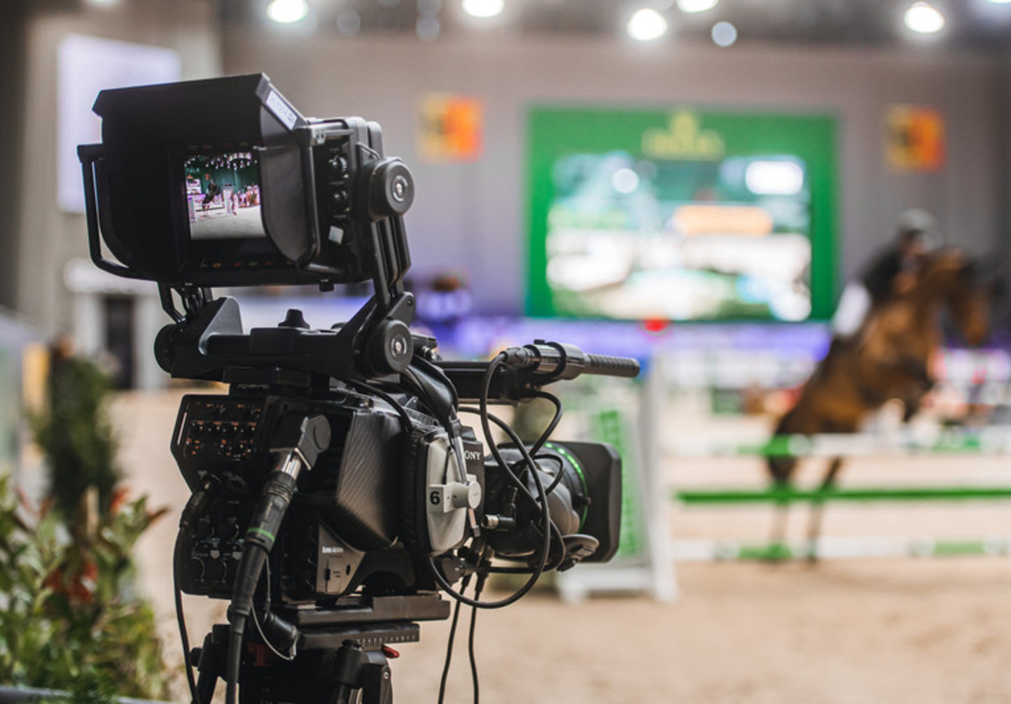Du nouveau pour notre CHI TV