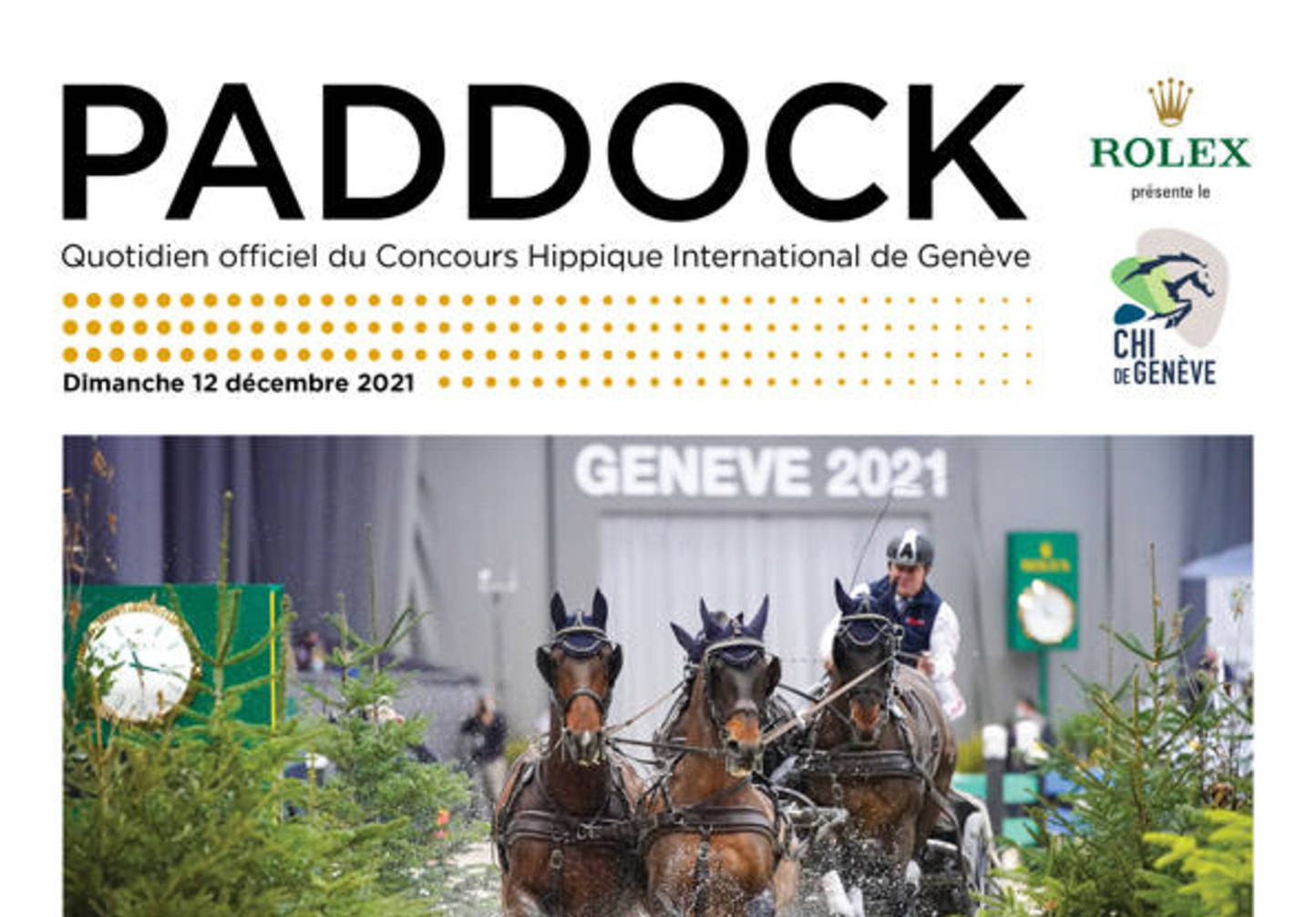Paddock N°4