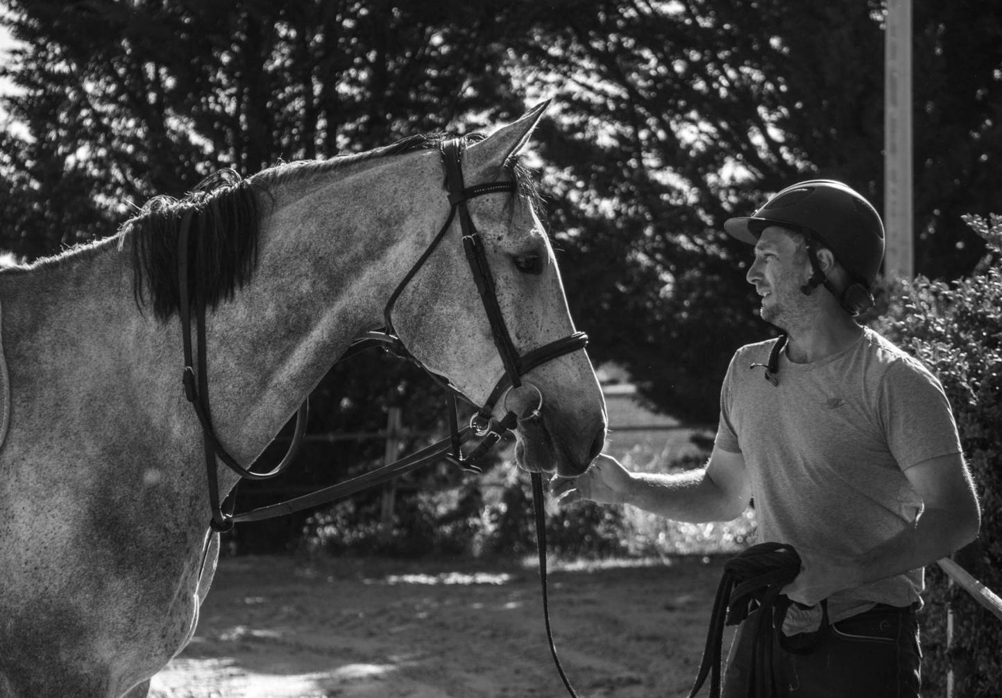 De poulain à cheval de Grand Prix, la route est longue (3)