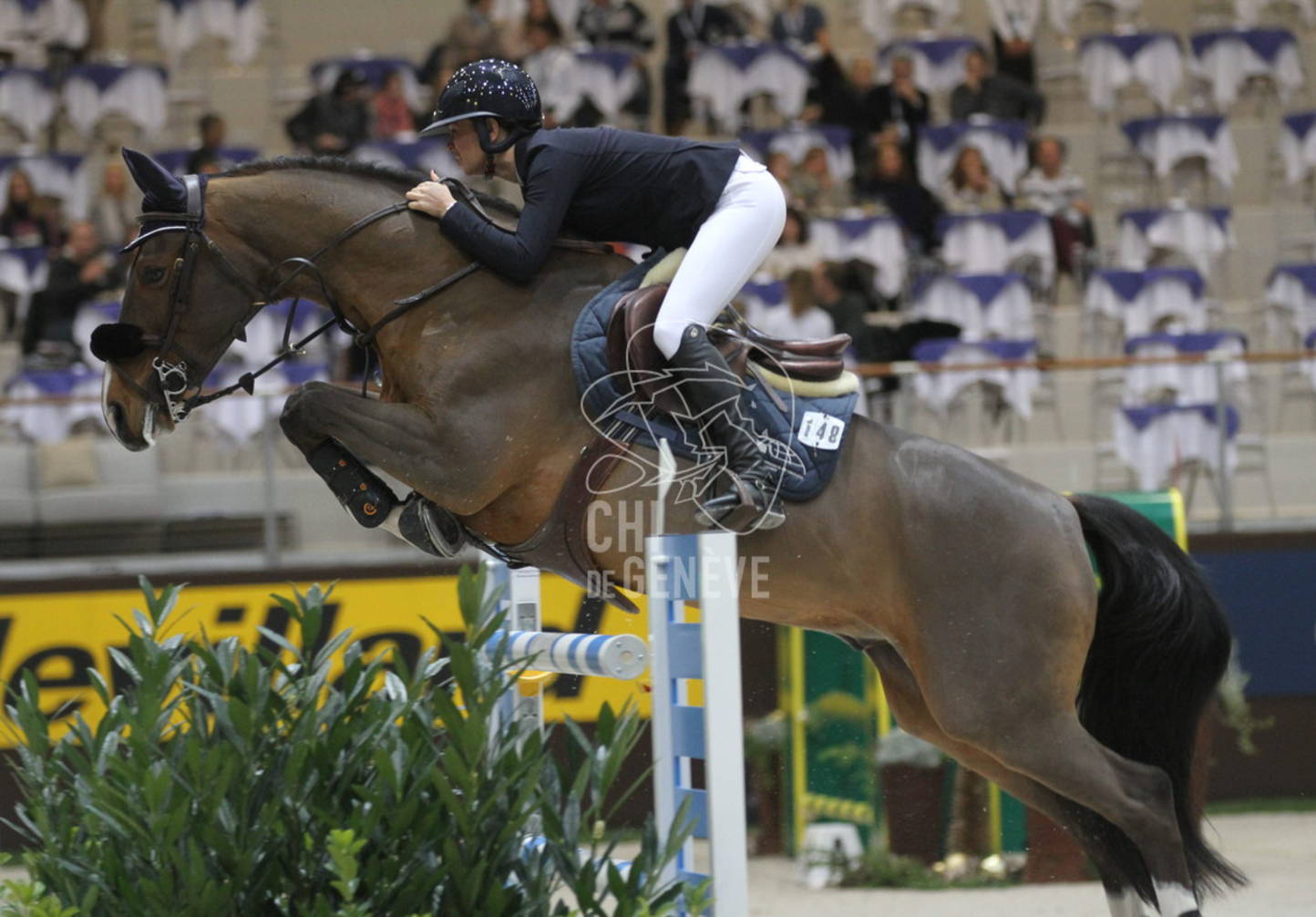 Le point sur le classement des Wild Cards après le GP de Lignières