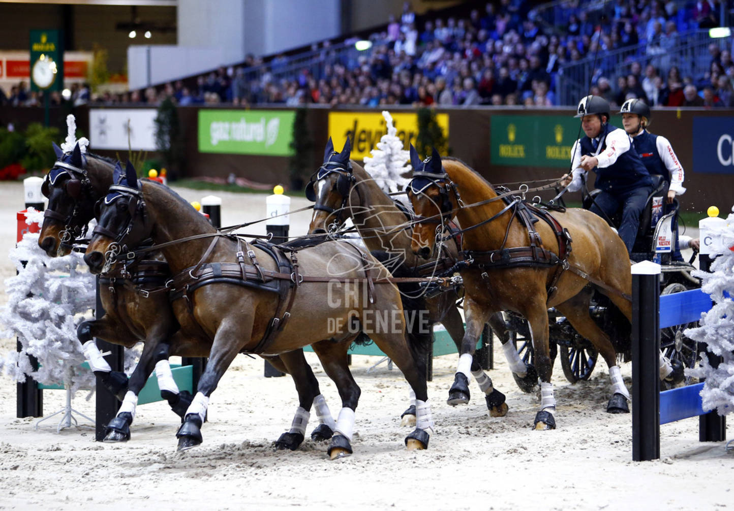 Les participants aux épreuves d’attelage sont connus
