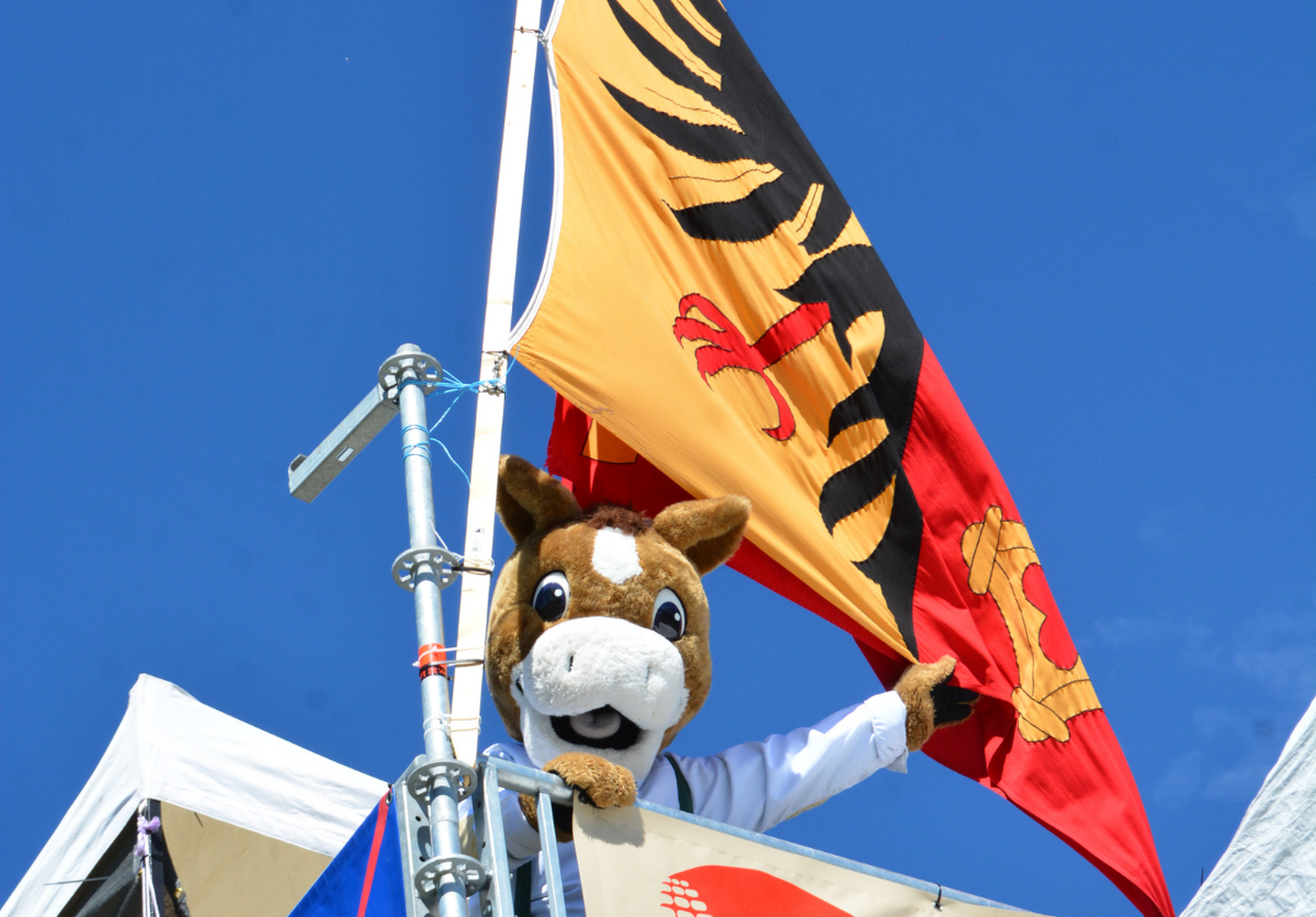 Dagz continues to explore the region