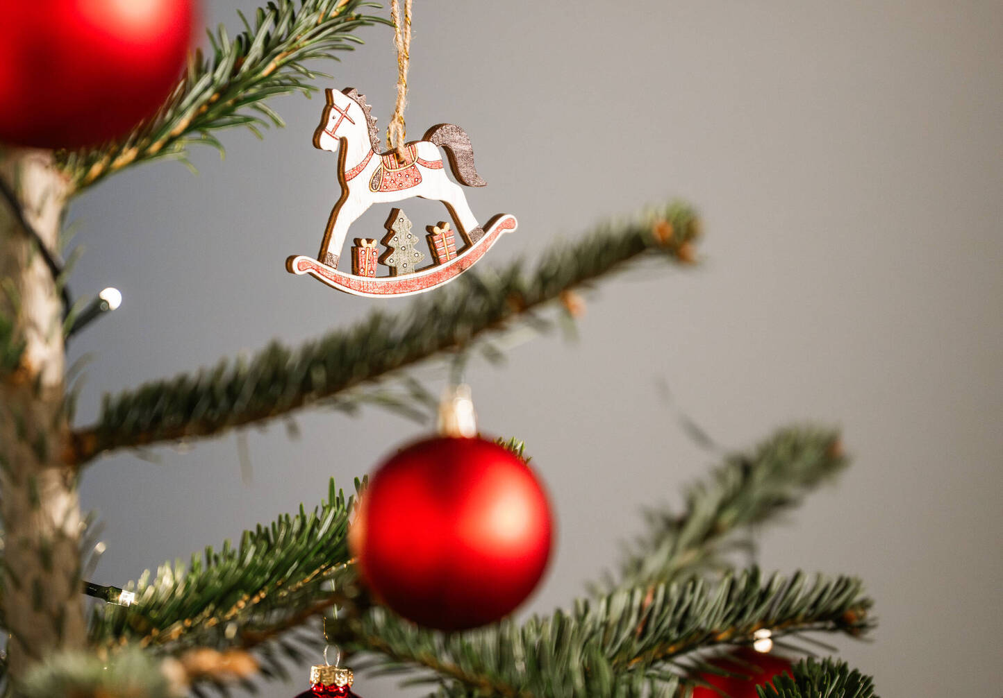 Newsletter N°5 : À l’aube de l’hiver