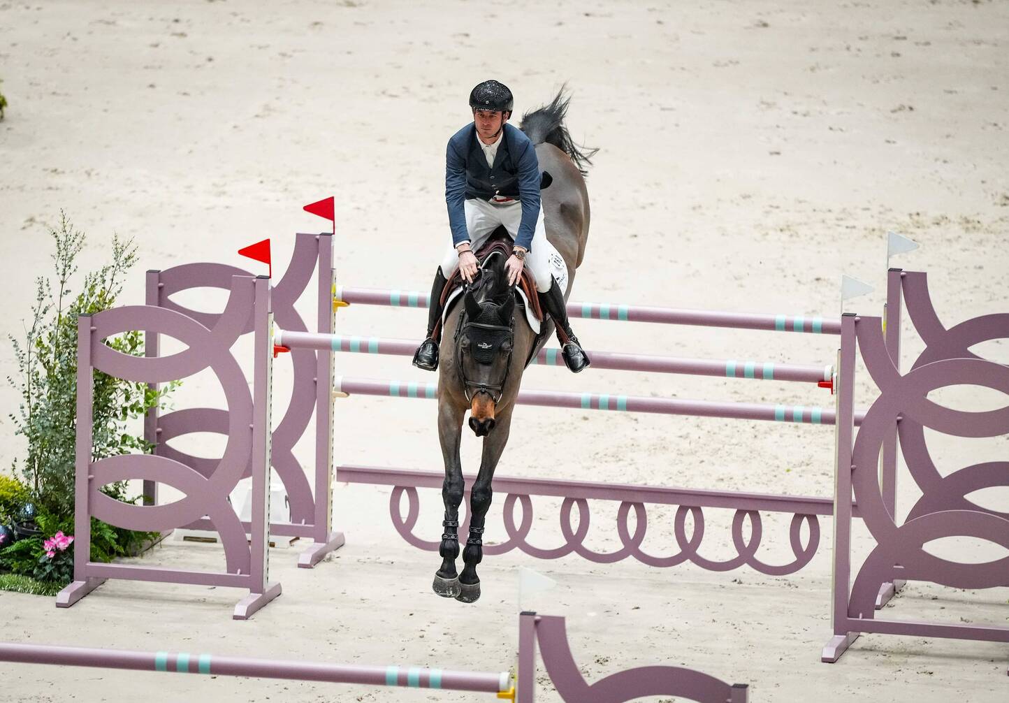 Newsletter N°6 : Retrouvailles imminentes