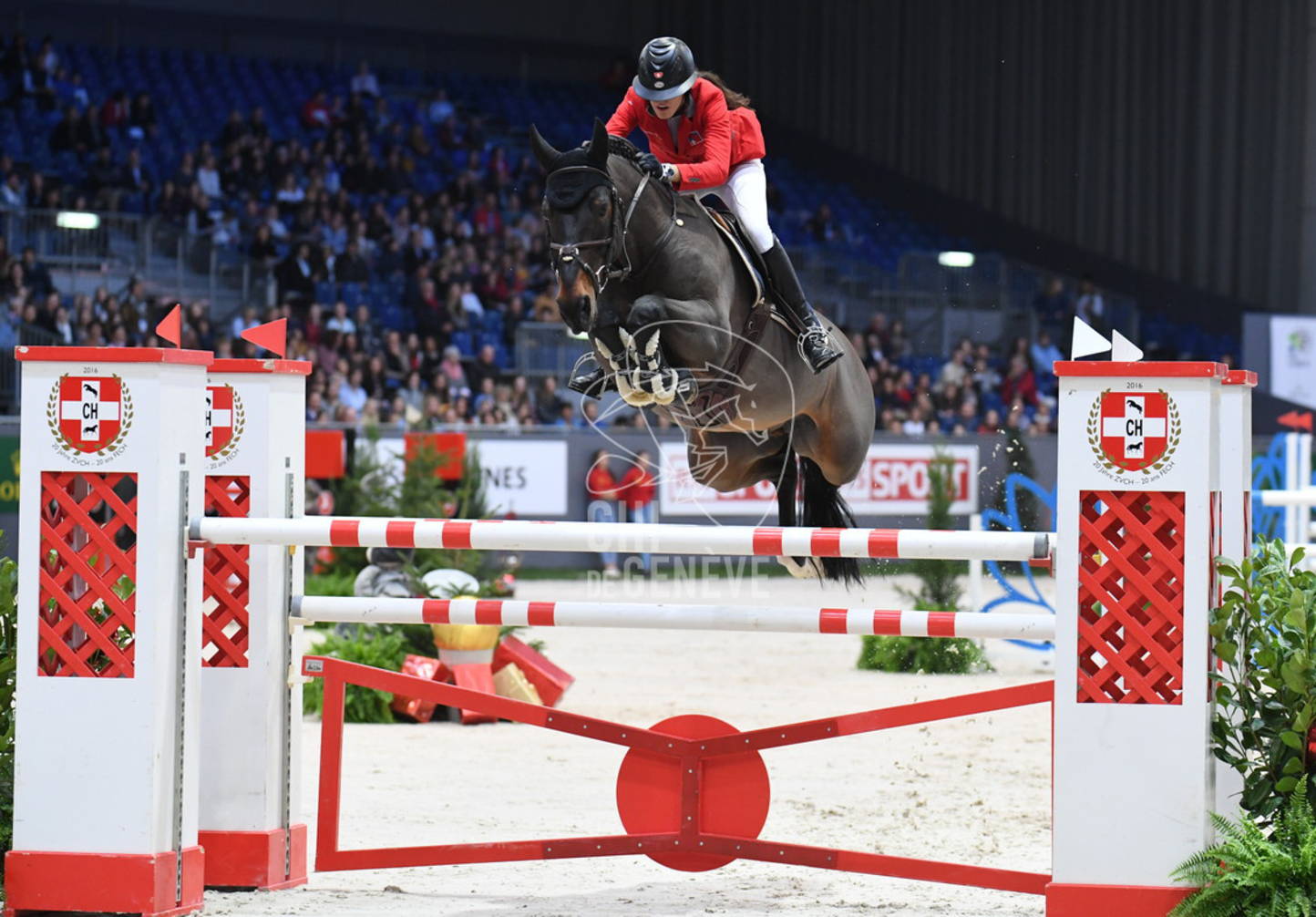 Une place d’honneur pour la relève au CHI de Genève 2019