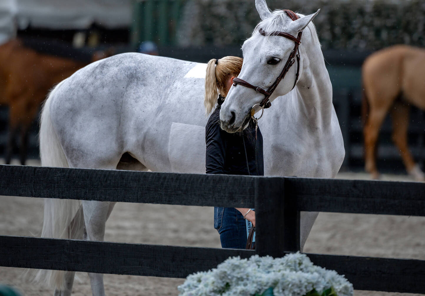 Indissociable au succès