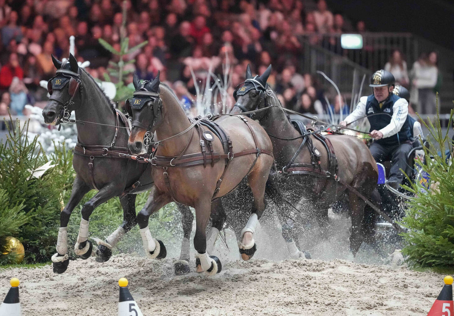 Le maître des lieux