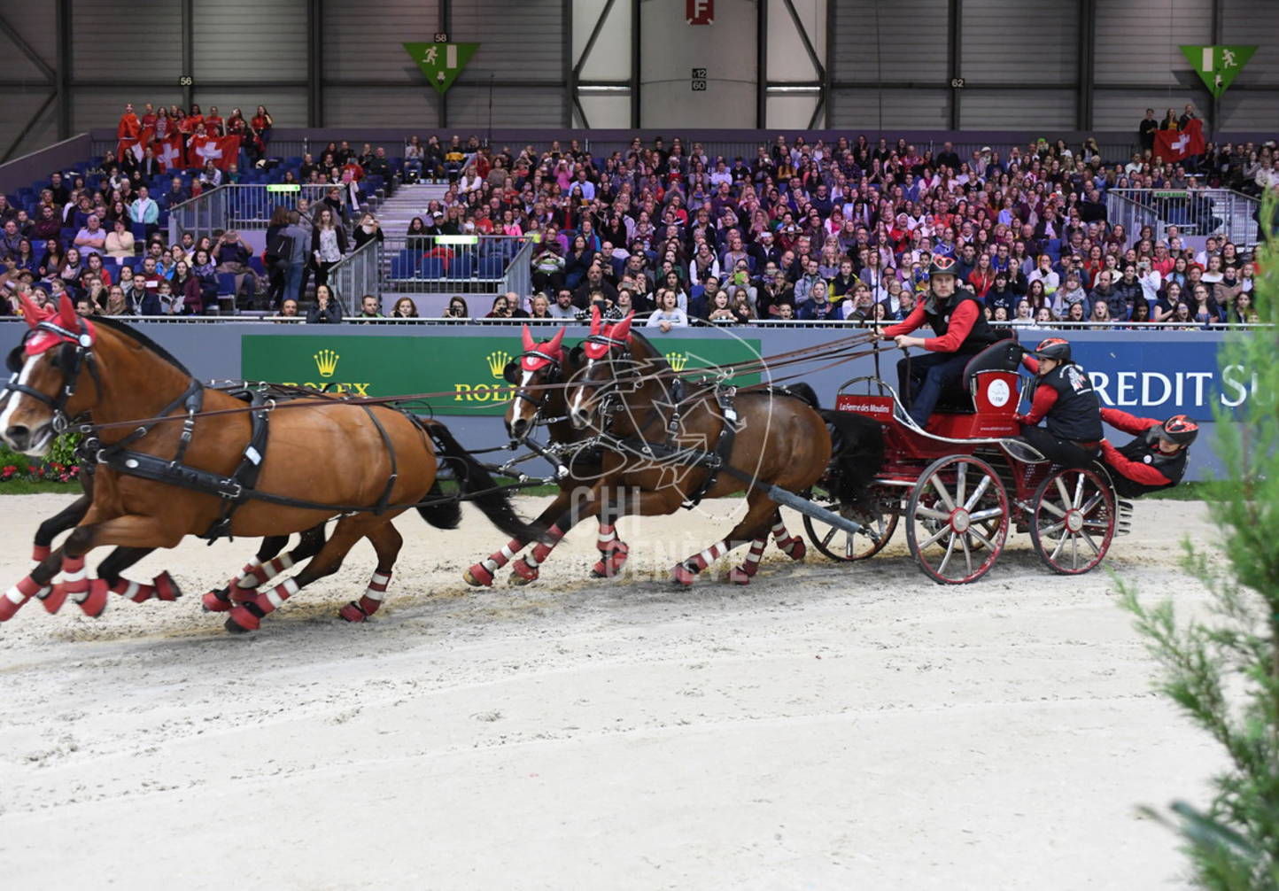 Five men and one woman will dispute the driving World Cup