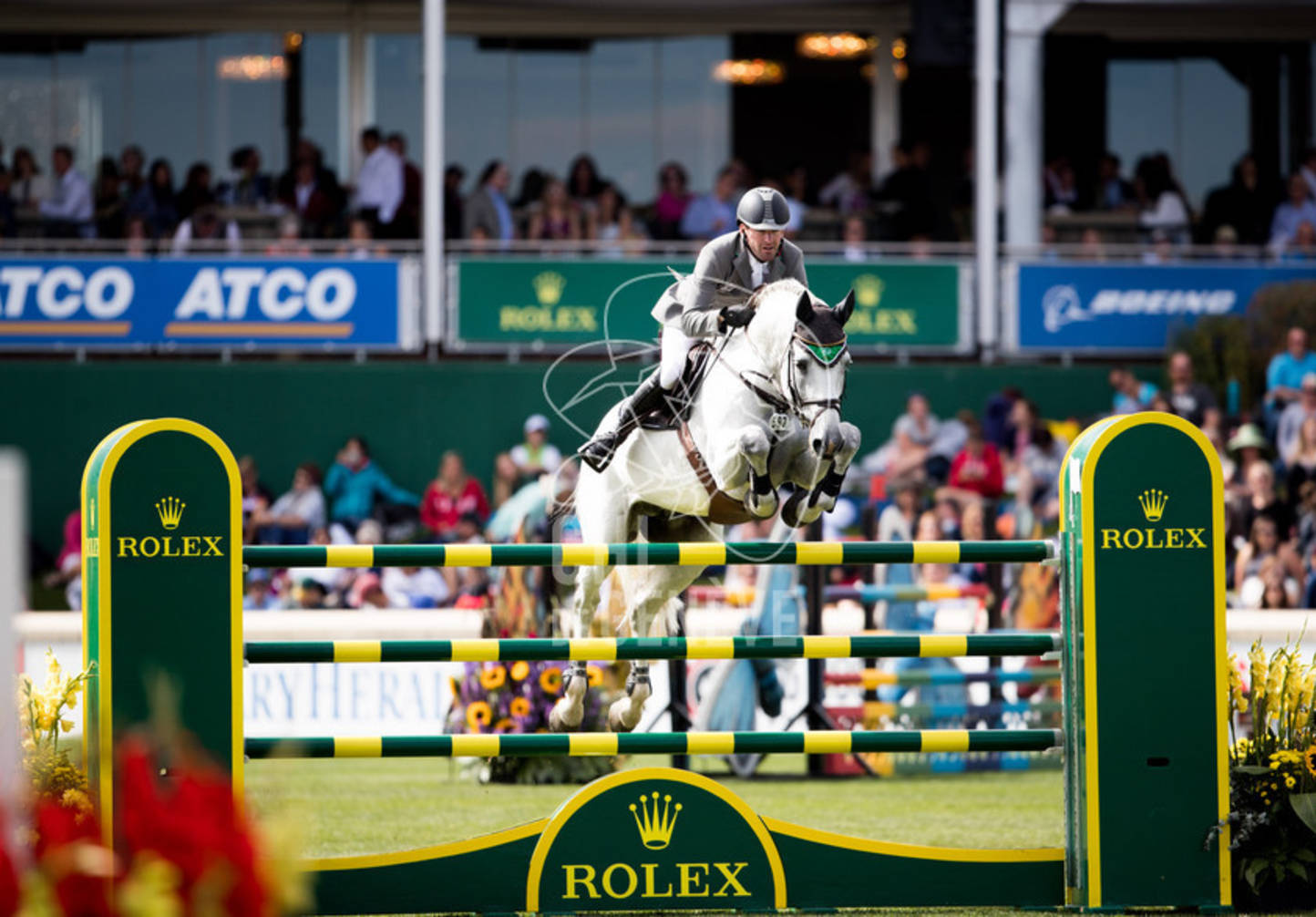 Die Spruce Meadows
