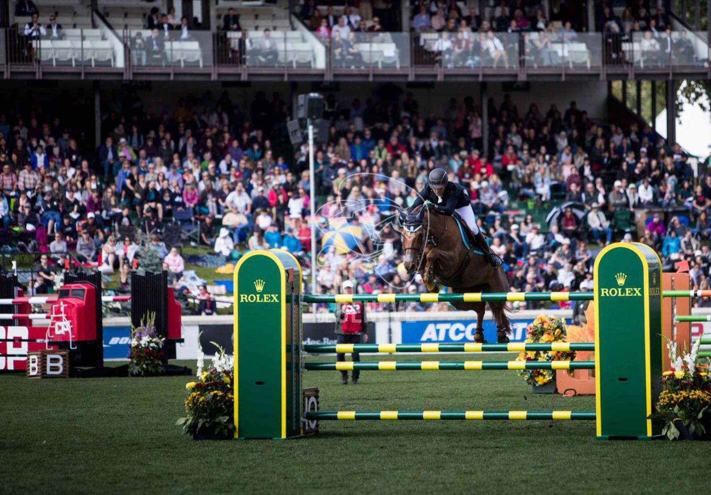Mittendrin Rolex Grand Slam: Interview mit Sameh El Dahan