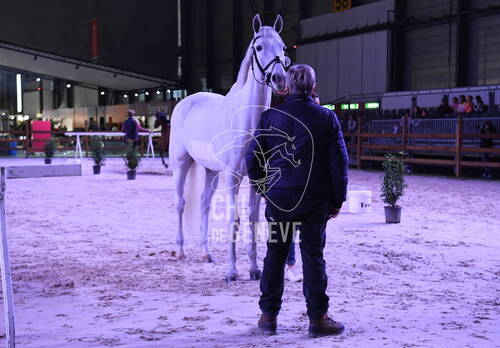 Visite vétérinaire