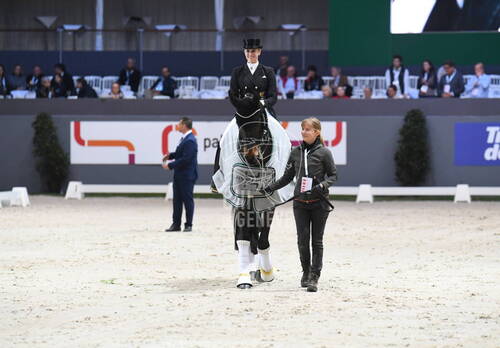 Freestyle Jiva Hill Stables