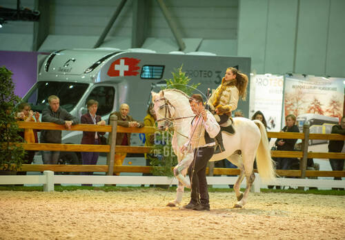 Attractions 7.12.2018