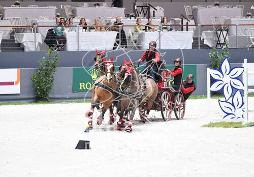 Pre-qualification for the FEI Driving World Cup™