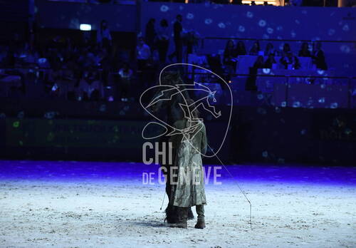  Célébration de la 60e édition du CHI de Genève 