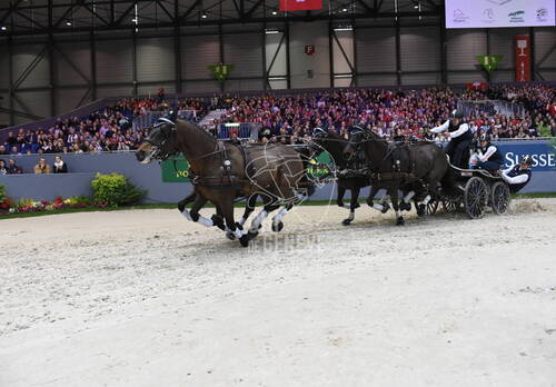 FEI World CupTM Driving présentée par la Radio Télévision Suisse