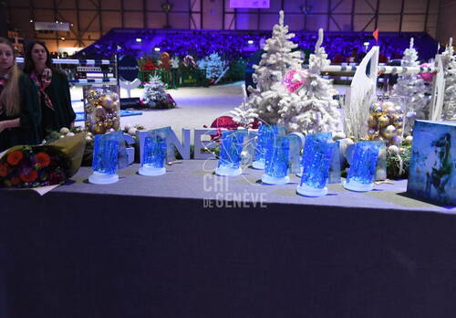 Remise des Awards de l'Année Hippique