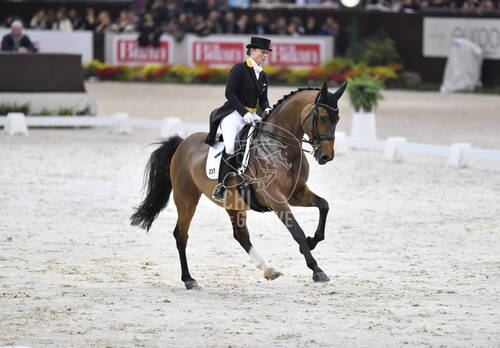 Grand Prix Freestyle