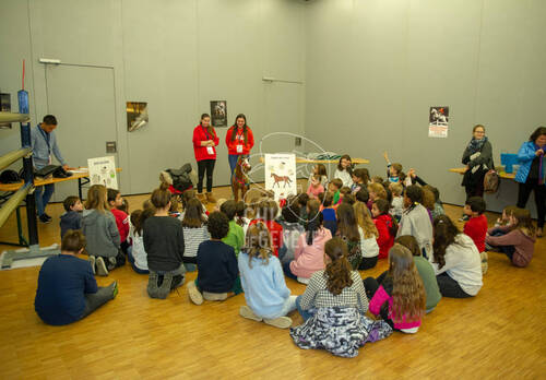 Journée des écoles