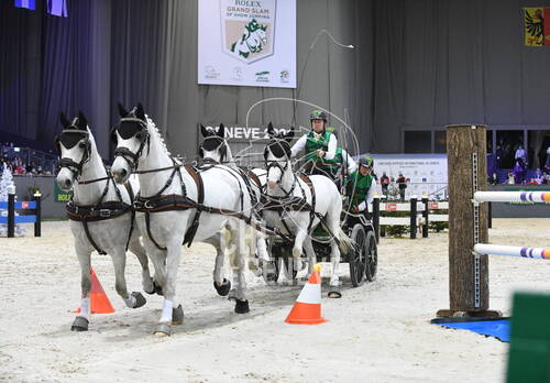 Pré-Qualificative pour la FEI Driving World Cup