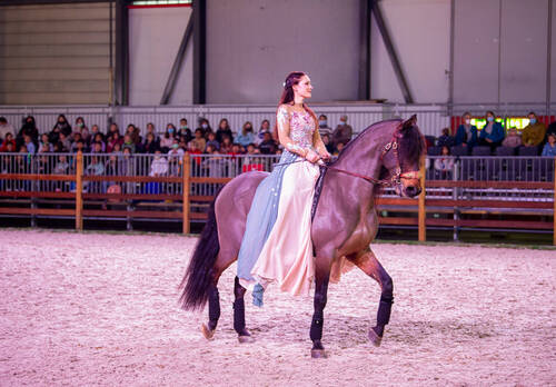 Spectacle équestre