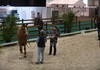 Inspection vétérinaire des chevaux de saut