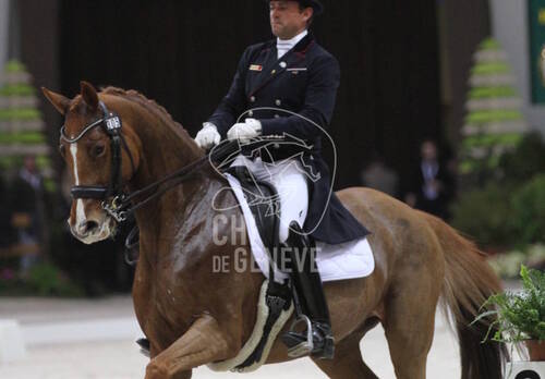 Reprise Libre en Musique présentée par Jiva Hill Stables
