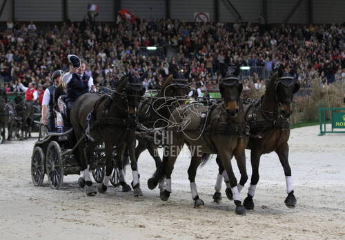 FEI World Cup Driving Presented by RTS