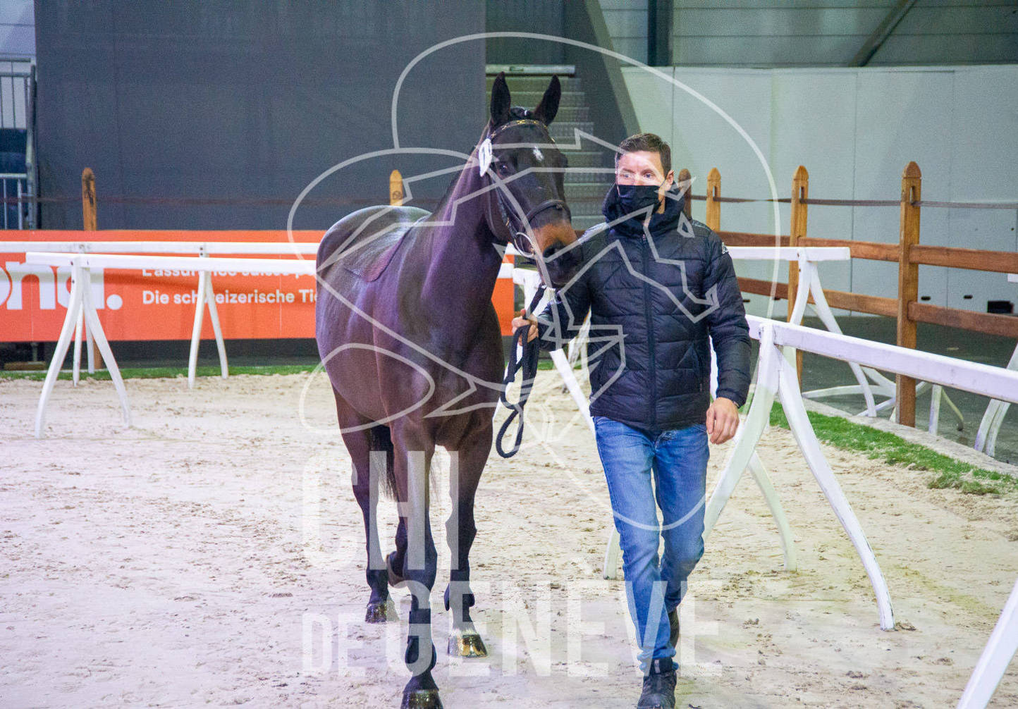 Präsentation von Swiss Breed Classic