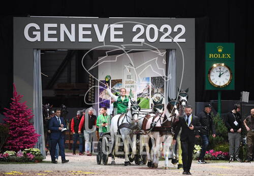 FEI Driving World Cup™