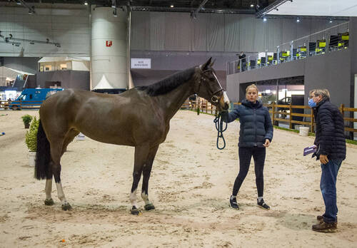Visite vétérinaire