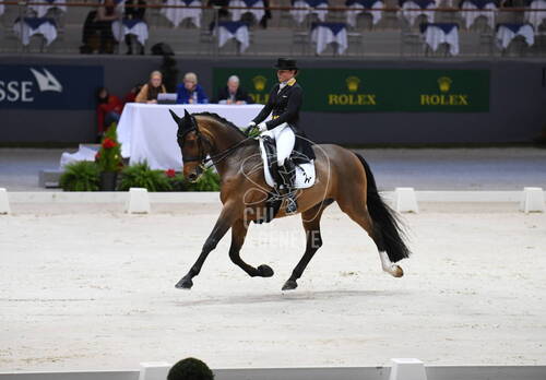 Grand Prix Présenté par Jiva Hill Stables