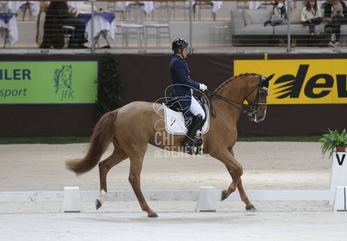 Grand Prix présenté par Jiva Hill Stables