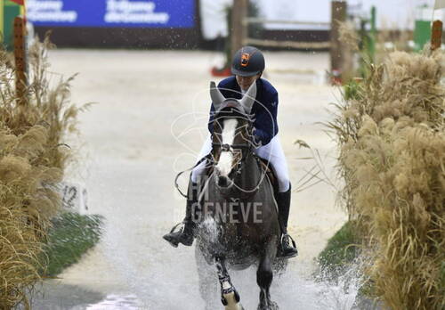 Prix Starling Hotel Geneva