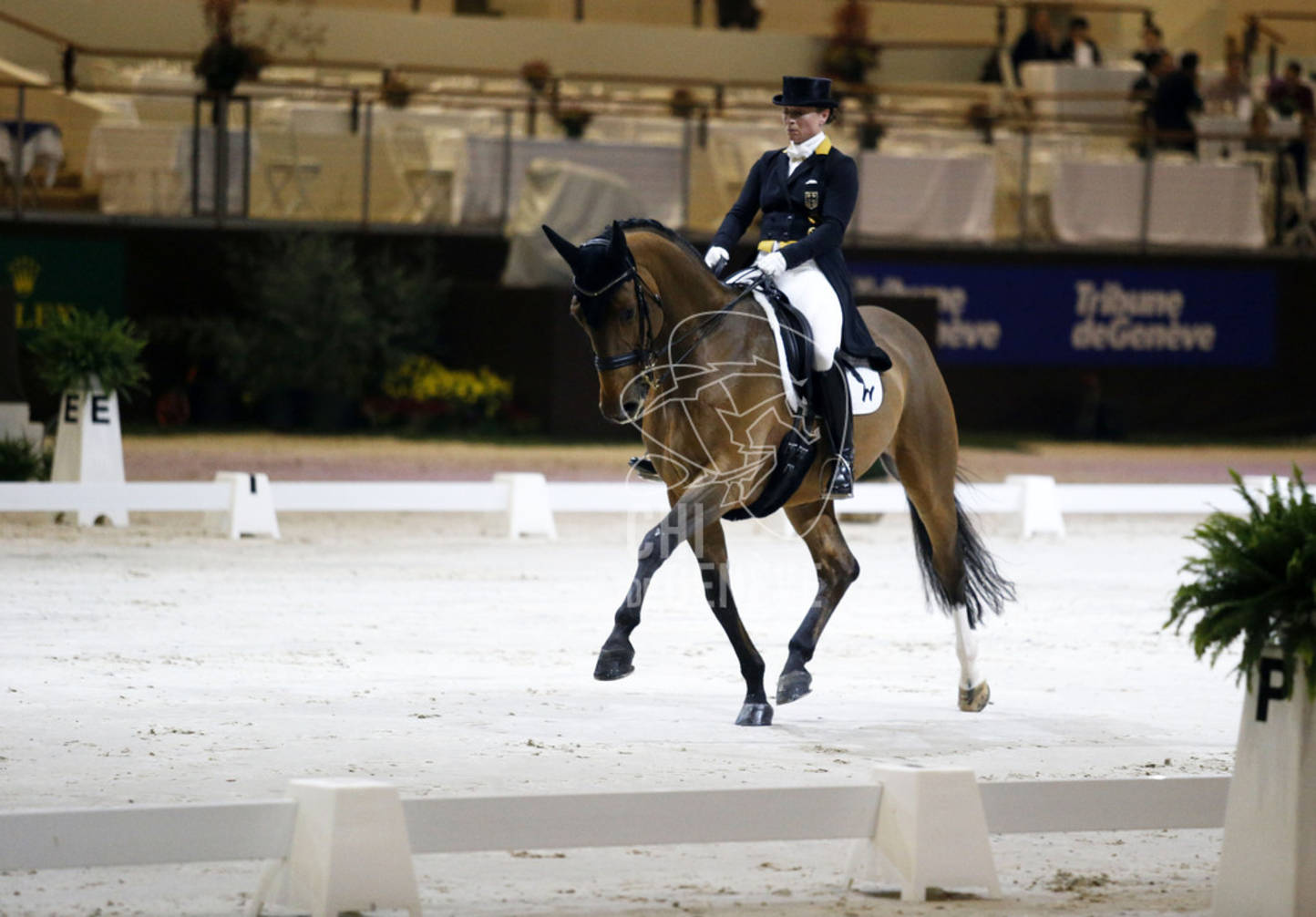 Grand Prix presented by Jiva Hill Stables