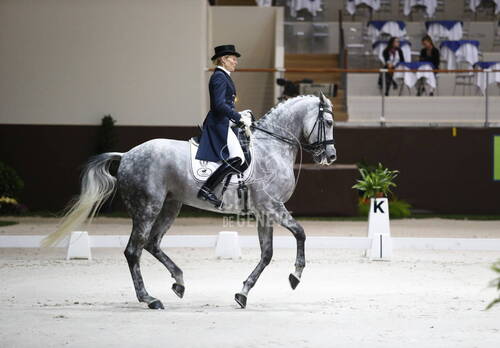 Grand Prix Spécial présenté par les écuries de dressage La Tuilière