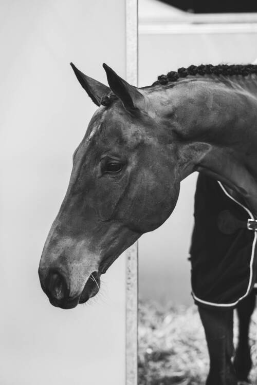 © CHI de Genève / Soraya Exquis