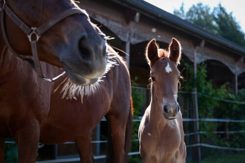 Une première semaine au calme